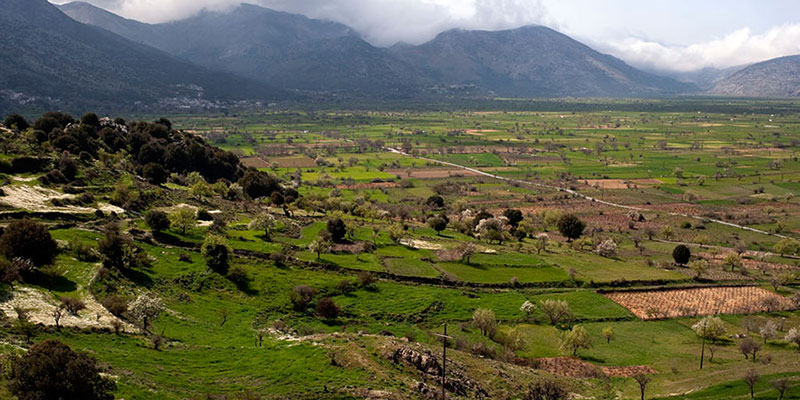 LASSITHI PLATEAU